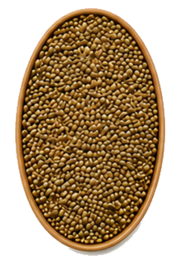 Herb Free