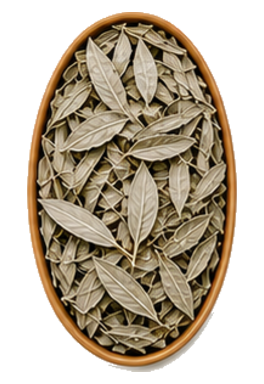 White Sage